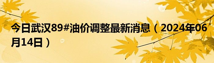 武汉油价调整最新动态及趋势分析