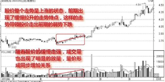 中石化最新股价动态及市场分析概览