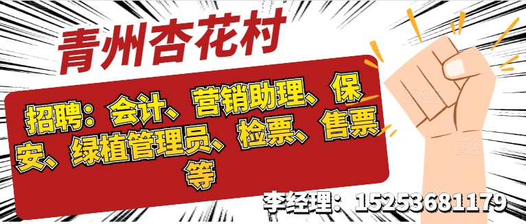 青州在线最新招聘信息全面汇总