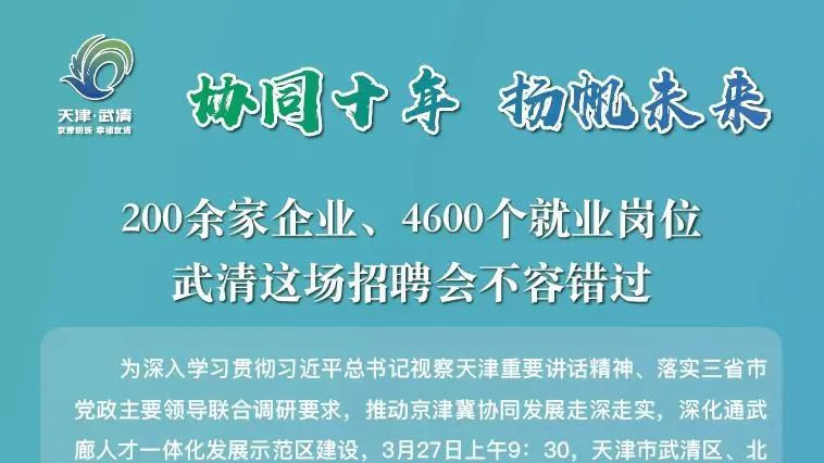 武清人才网最新招聘动态深度解读与解析