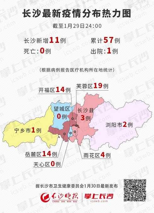 2024年11月11日 第8页