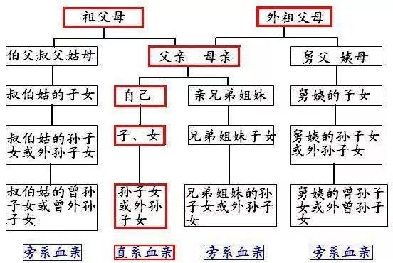 移动号码过户最新规定全面解析