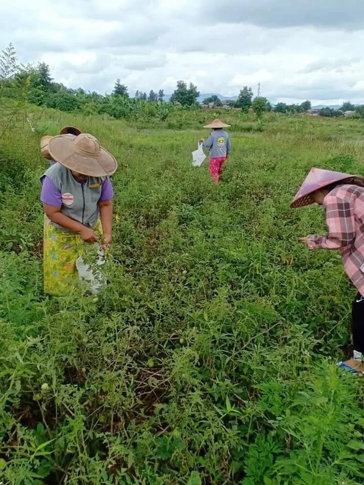 白白最新免费视频探索与赏析盛宴