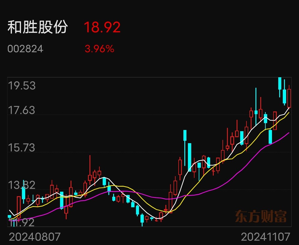 和胜股份最新动态深度剖析