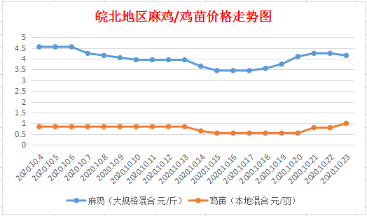 皖北最新麻鸡价格行情分析