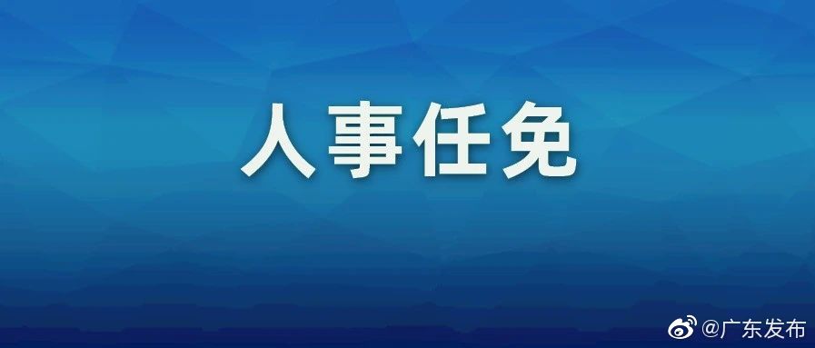 广东省最新人事任命动态解读