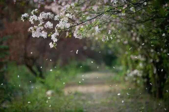 乱雨纷飞下载的世界中的自然与人性的交织之美探索