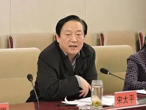 河北张铁力最新动态与成就概述