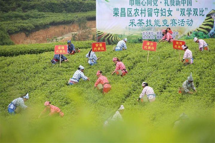 微魔幻下载，数字世界的奇幻探险之旅